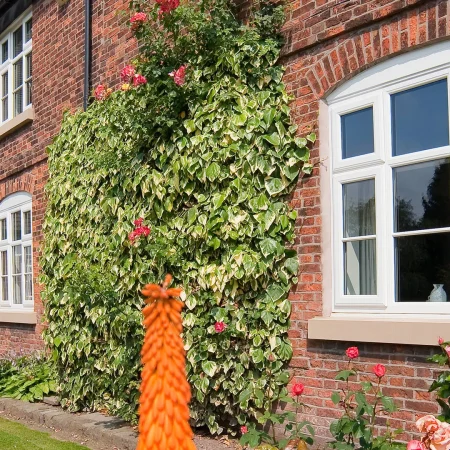 extreme-upvc-windows-gallery-43.jpg extreme-upvc-windows-gallery-43.jpg